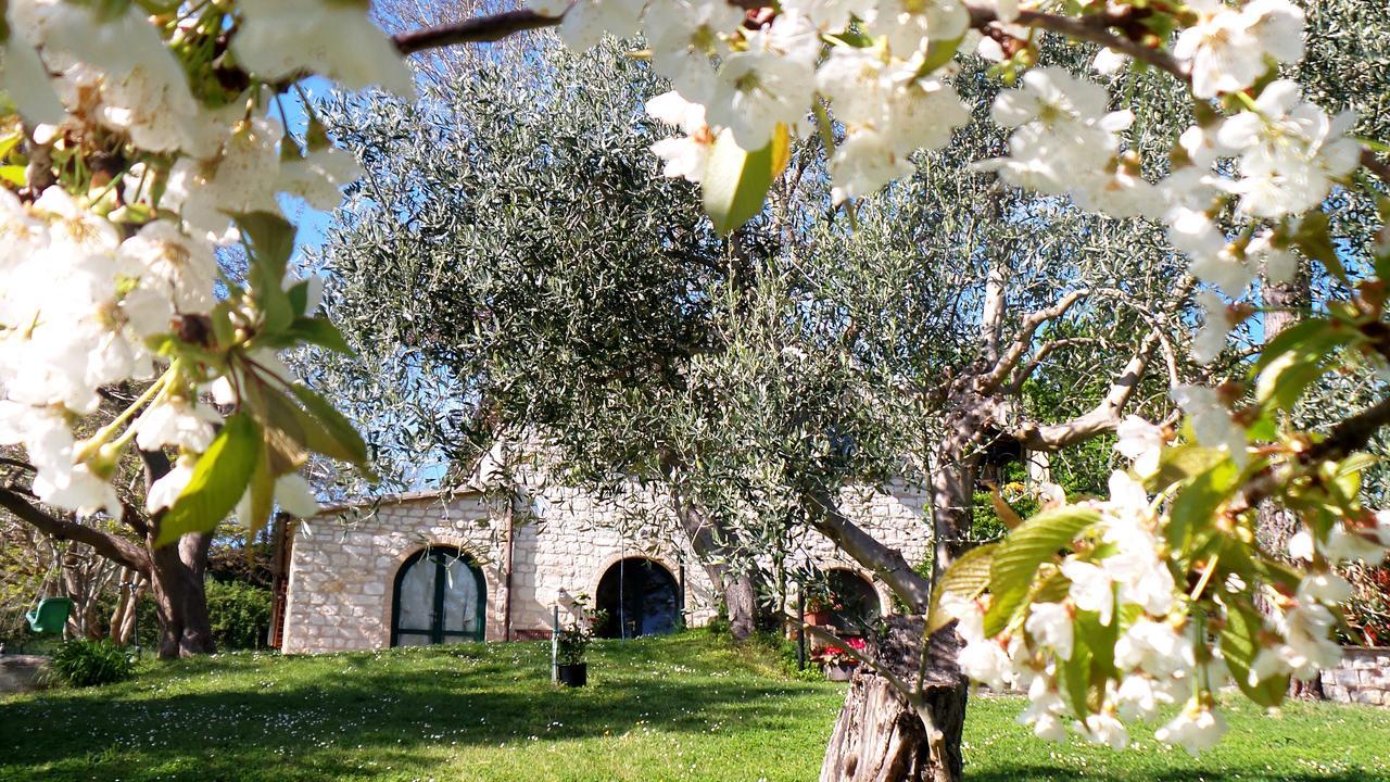 Campo Del Mare Bed & Breakfast Sirolo Luaran gambar