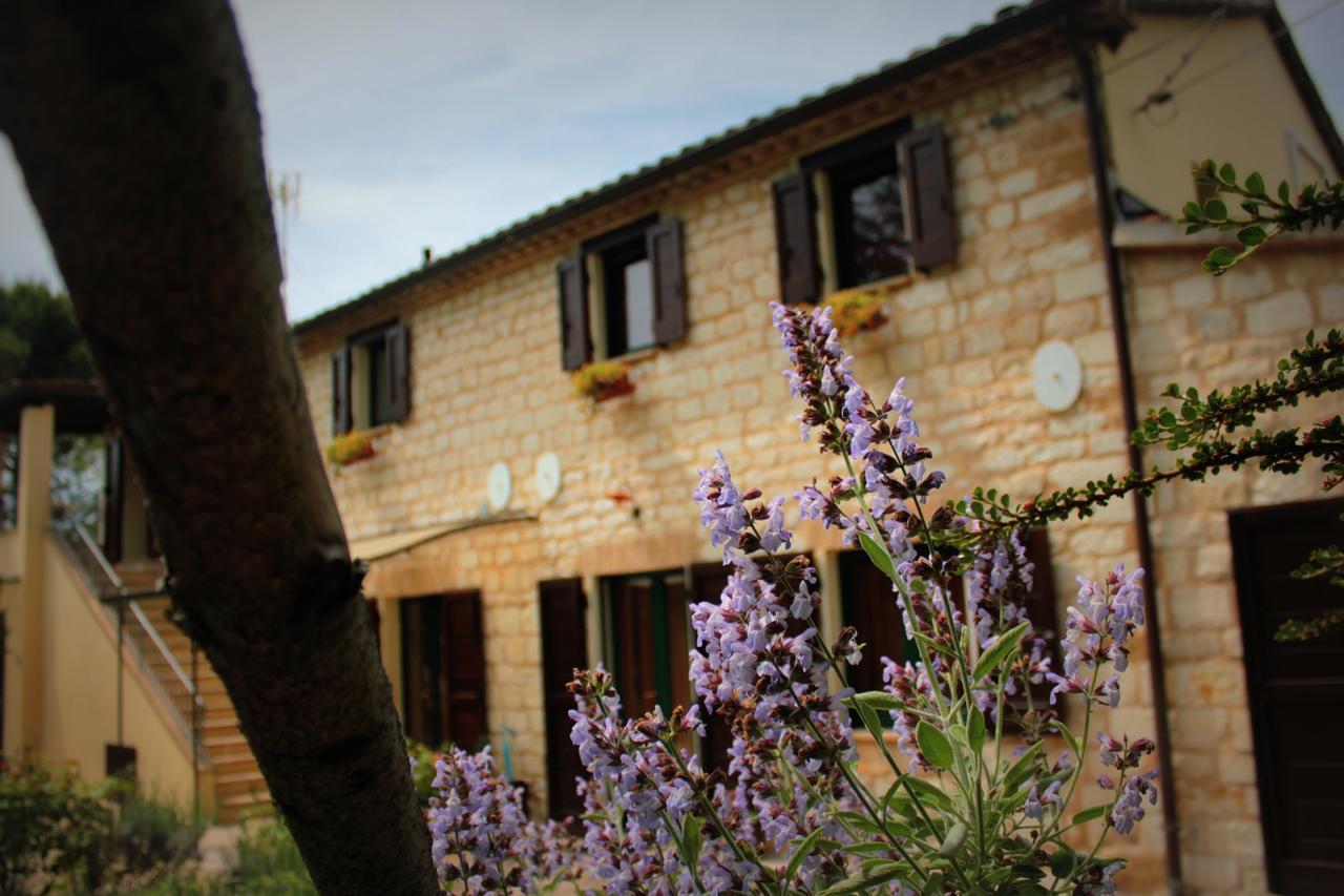 Campo Del Mare Bed & Breakfast Sirolo Luaran gambar